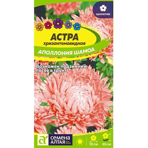 Астра Аполлония Шамоа Семена Алтая изображение 1 артикул 84789