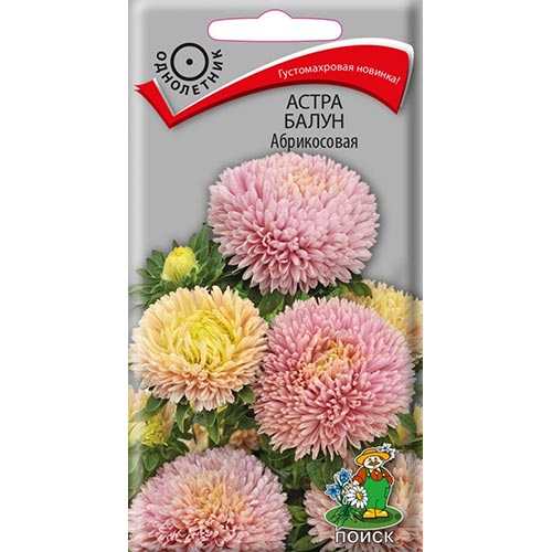 Астра Балун Абрикосовая Поиск изображение 1 артикул 92869