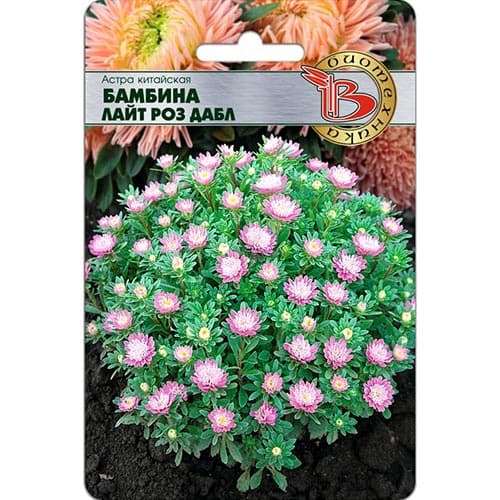 Астра Бамбина Лайт Роз Дабл Биотехника изображение 1 артикул 91543