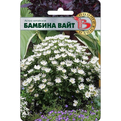 Астра Бамбина Вайт Биотехника артикул фото 1 Астра Бамбина Вайт Биотехника изображение 1 артикул 84598
