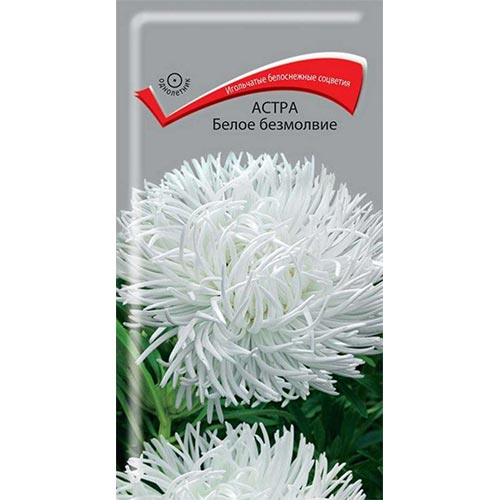Астра Белое безмолвие Поиск изображение 1 артикул 92872