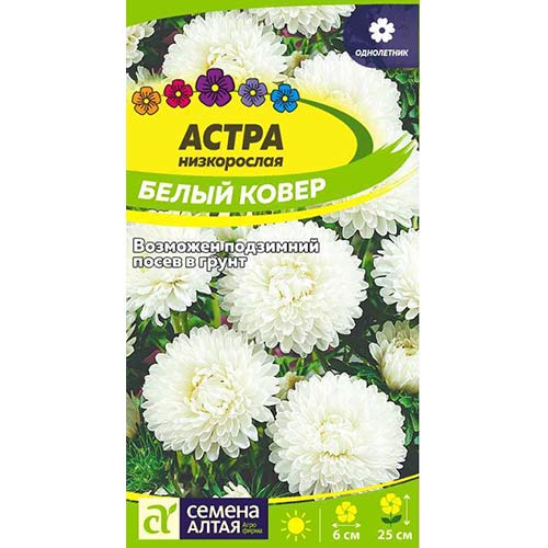 Астра Белый ковер Семена Алтая артикул фото 1 Астра Белый ковер Семена Алтая изображение 1 артикул 84791