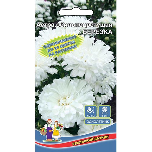 Астра Березка Уральский дачник изображение 1 артикул 94762