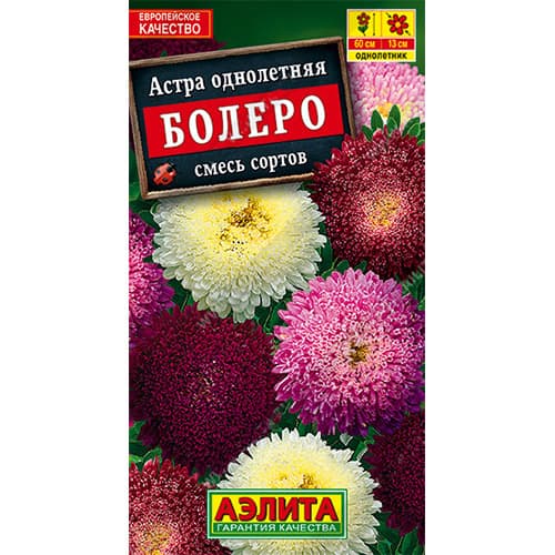 Астра Болеро, смесь окрасок Аэлита артикул фото 1 Астра Болеро, смесь окрасок Аэлита изображение 1 артикул 98840