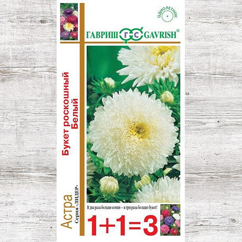 Астра Букет роскошный белый Гавриш артикул фото 1 Астра Букет роскошный белый Гавриш изображение 1 артикул 73779