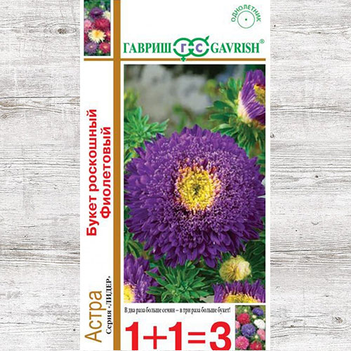 Астра Букет роскошный фиолетовый Гавриш артикул фото 1 Астра Букет роскошный фиолетовый Гавриш изображение 1 артикул 73783