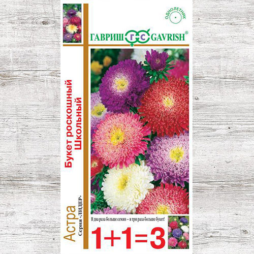 Астра Букет школьный, смесь окрасок Гавриш изображение 1 артикул 65934