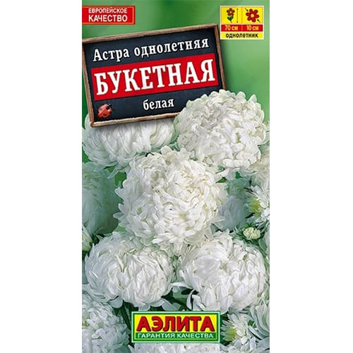 Астра Букетная белая Аэлита изображение 1 артикул 40271