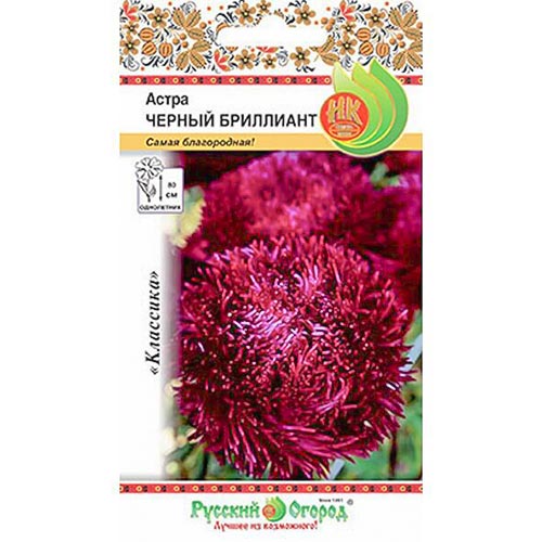 Астра Черный бриллиант НК изображение 1 артикул 92454