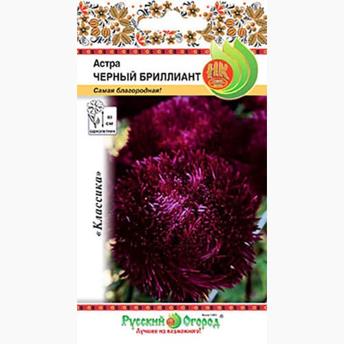 Астра Черный бриллиант Русский огород НК изображение 1 артикул 97377