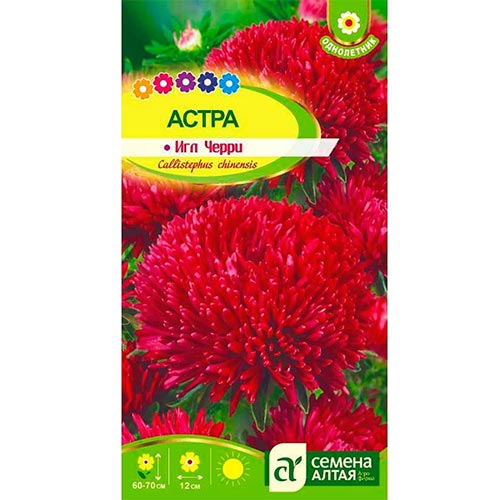 Астра Черри Семена Алтая изображение 1 артикул 94126