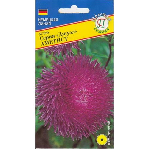 Астра Джуэл Аметист Престиж изображение 1 артикул 84430