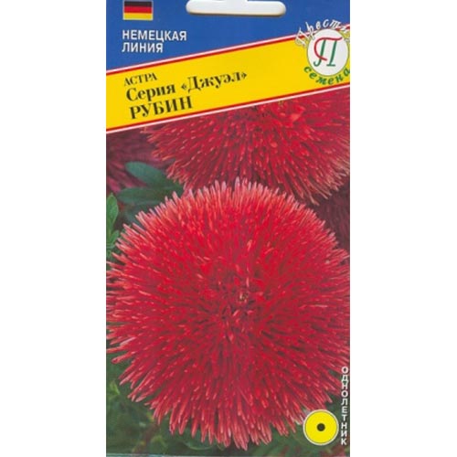 Астра Джуэл Рубин Престиж изображение 1 артикул 84435