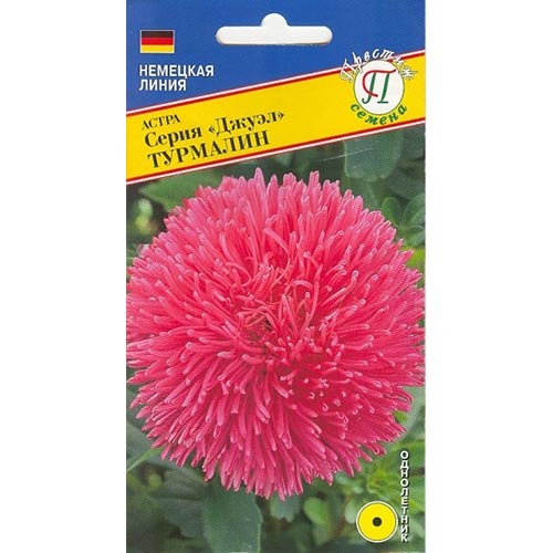 Астра Джуэл Турмалин Престиж артикул фото 1 Астра Джуэл Турмалин Престиж изображение 1 артикул 84436