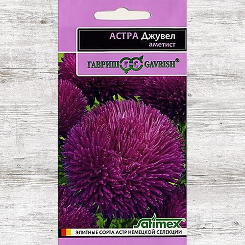 Астра Джувел Аметист Гавриш артикул фото 1 Астра Джувел Аметист Гавриш изображение 1 артикул 73784