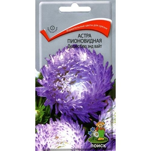 Астра Дюшес Блю энд Вайт Поиск изображение 1 артикул 92877