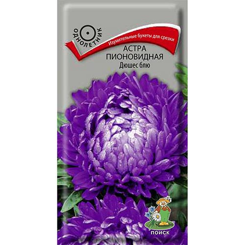 Астра Дюшес Блю Поиск изображение 1 артикул 82057