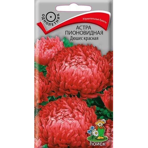 Астра Дюшес красная Поиск изображение 1 артикул 82059