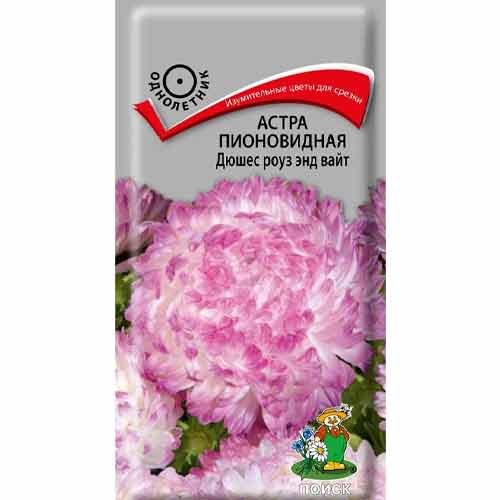 Астра Дюшес Роуз энд Вайт Поиск изображение 1 артикул 92878