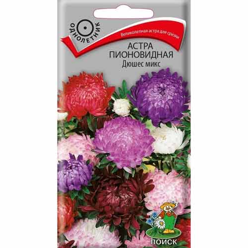 Астра Дюшес, смесь окрасок Поиск артикул фото 1 Астра Дюшес, смесь окрасок Поиск изображение 1 артикул 82061