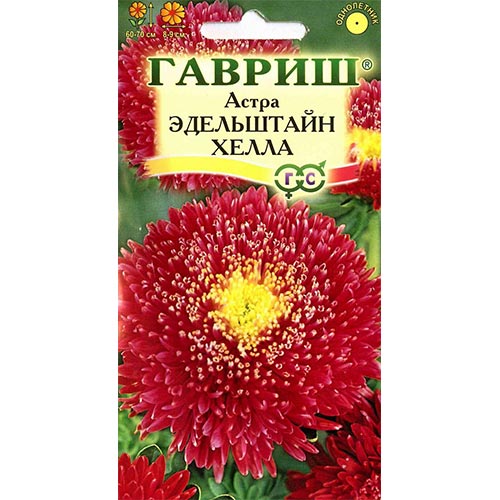 Астра Эдельштайн Хелла Гавриш изображение 1 артикул 91947