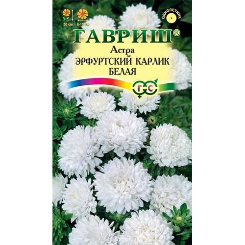 Астра Эрфуртский карлик Белая Гавриш изображение 1 артикул 91948