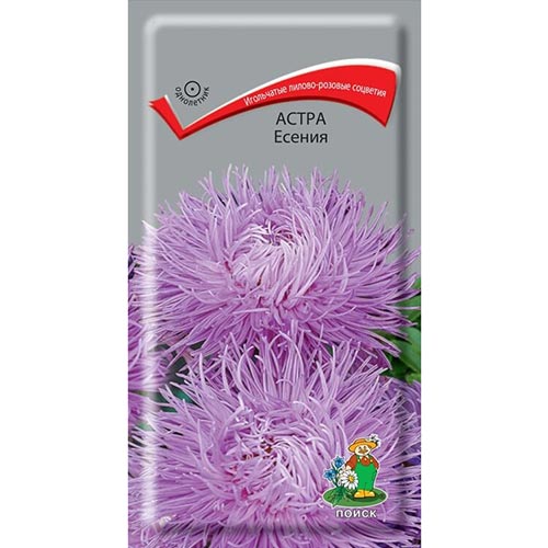 Астра Есения Поиск изображение 1 артикул 92879