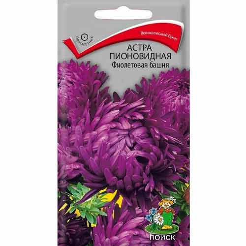 Астра Фиолетовая башня, семена изображение 1 артикул 97865