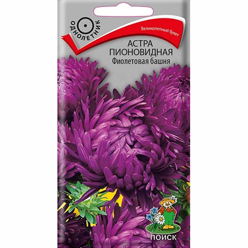 Астра Фиолетовая башня Поиск изображение 1 артикул 82067