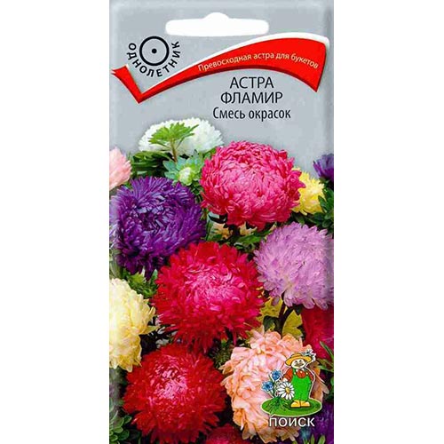 Астра Фламир, смесь окрасок Поиск изображение 1 артикул 92886