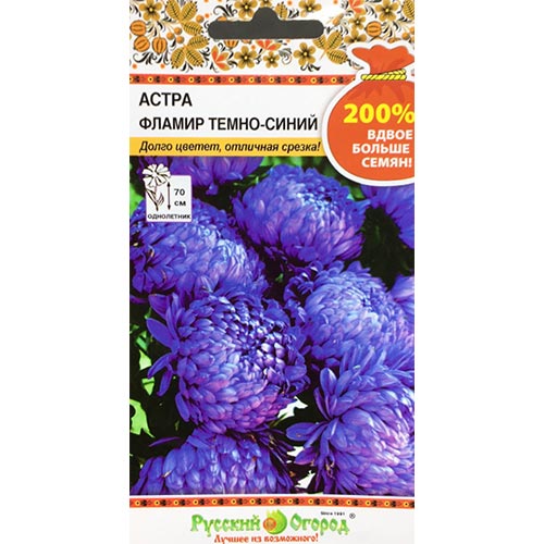 Астра Фламир темно-синий НК изображение 1 артикул 92453