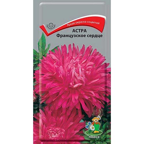 Астра Французское сердце Поиск изображение 1 артикул 92887