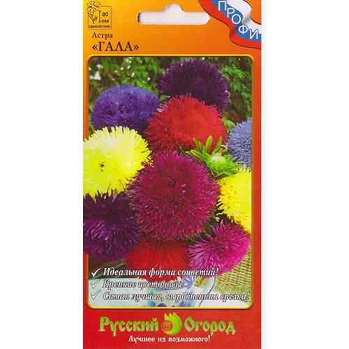 Астра Гала, смесь окрасок НК изображение 1 артикул 92422