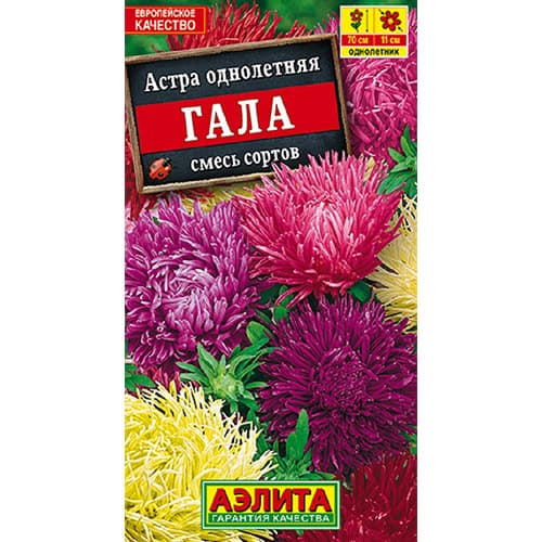 Астра Гала, смесь окрасок Аэлита артикул фото 1 Астра Гала, смесь окрасок Аэлита изображение 1 артикул 98842