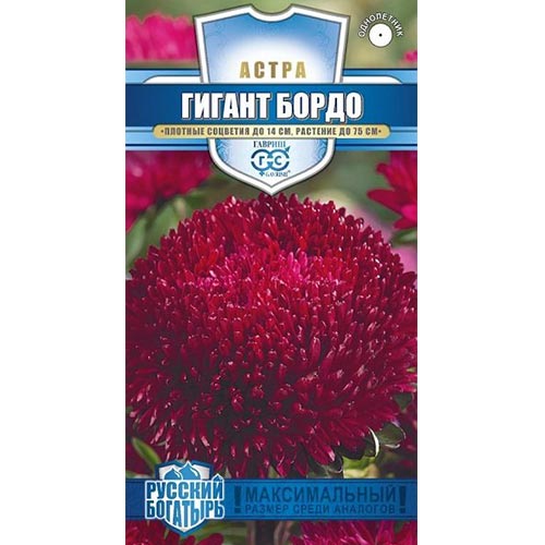 Астра Гигант Бордо Гавриш изображение 1 артикул 91918