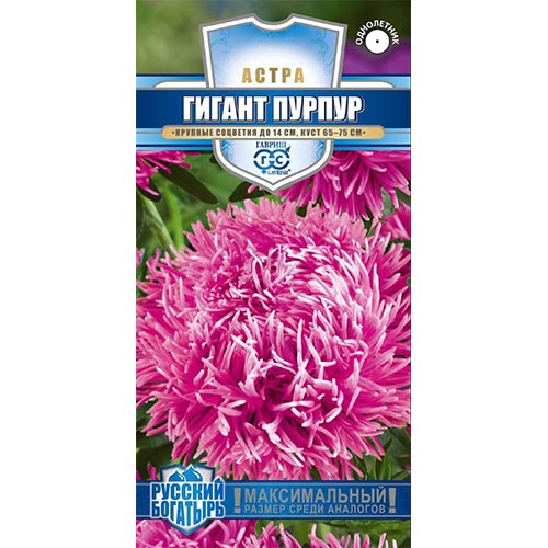 Астра Гигант Пурпур Гавриш изображение 1 артикул 91920