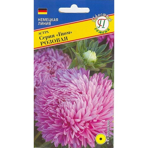 Астра Гном Розовая Престиж артикул фото 1 Астра Гном Розовая Престиж изображение 1 артикул 93228