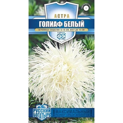 Астра Голиаф Белый Гавриш изображение 1 артикул 91921