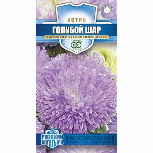 Астра густомахровая Голубой шар Гавриш изображение 1 артикул 91924