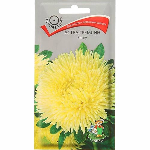 Астра гремлин Еллоу Поиск изображение 1 артикул 82034