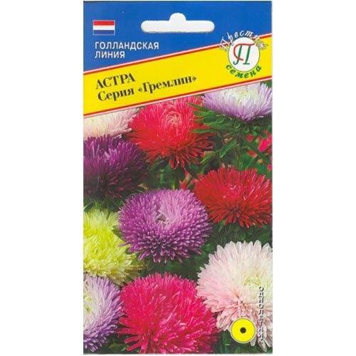 Астра Гремлин, смесь окрасок Престиж артикул фото 1 Астра Гремлин, смесь окрасок Престиж изображение 1 артикул 84428