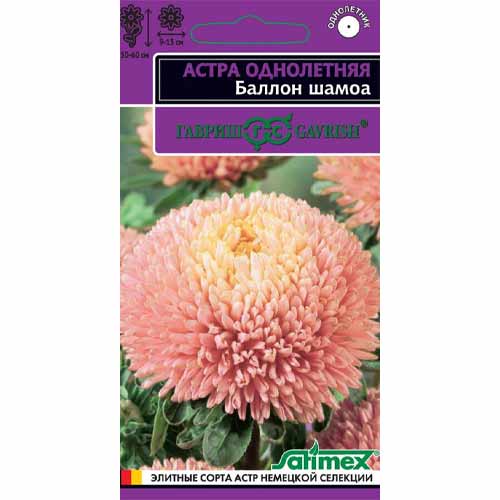 Астра густомахровая Баллон шамоа Гавриш артикул фото 1 Астра густомахровая Баллон шамоа Гавриш изображение 1 артикул 40580