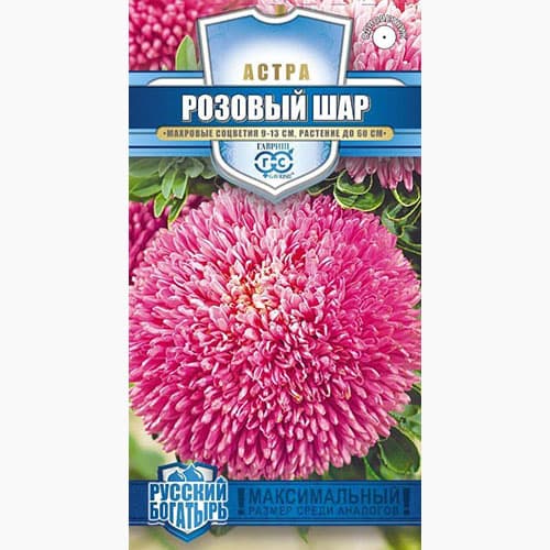 Астра густомахровая Розовый шар Гавриш изображение 1 артикул 97591