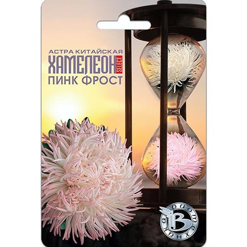 Астра Хамелеон SELECT Пинк Фрост Биотехника изображение 1 артикул 91559