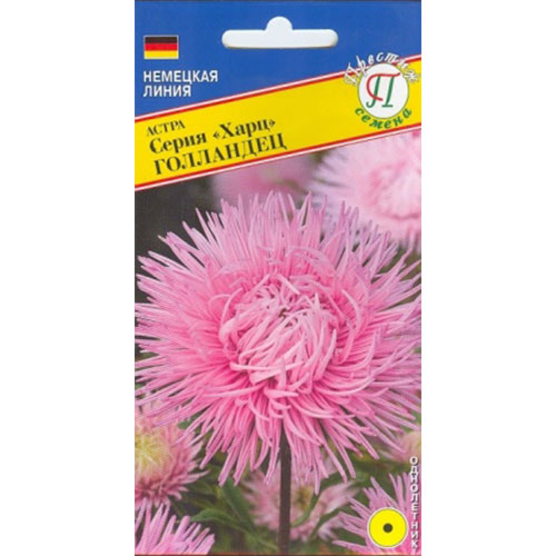 Астра Харц Голландец Престиж изображение 1 артикул 84450