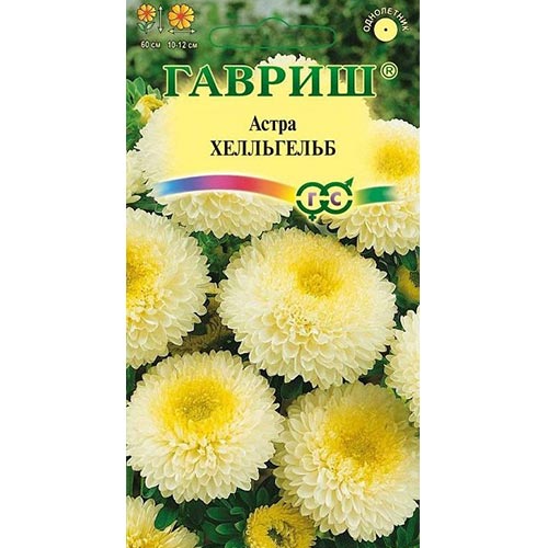 Астра Хелльгельб Гавриш изображение 1 артикул 91944