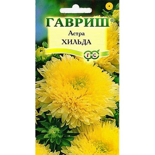 Астра Хильда Гавриш изображение 1 артикул 91945