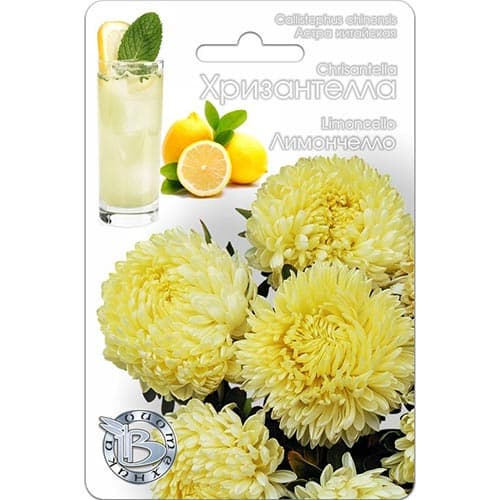 Астра Хризантелла Лимончелло Биотехника изображение 1 артикул 91563