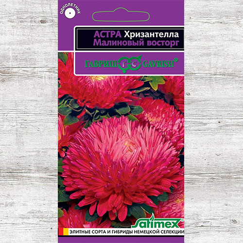 Астра Хризантелла Малиновый восторг Гавриш изображение 1 артикул 84010