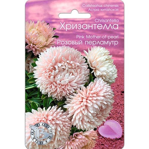 Астра Хризантелла Розовый перламутр Биотехника изображение 1 артикул 91565